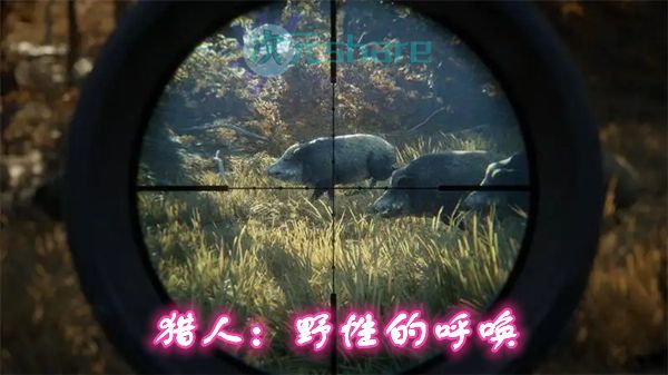 猎人：野性的呼唤 2019版 升级档build1681978  [目前全dlc 2019.6.3] pc游戏网盘分享